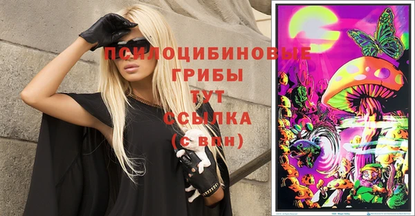 ешки Абаза