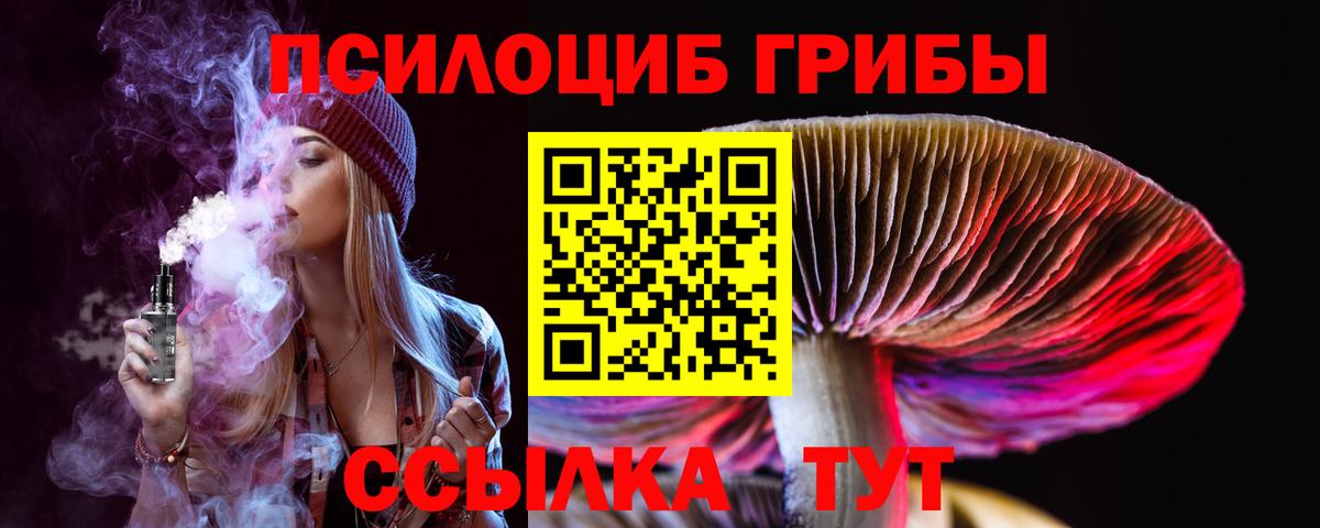 Псилоцибиновые грибы Magic Shrooms  Псилоцибиновые грибы GOLDEN TEACHER  Урус-Мартан  Вход с VPN 